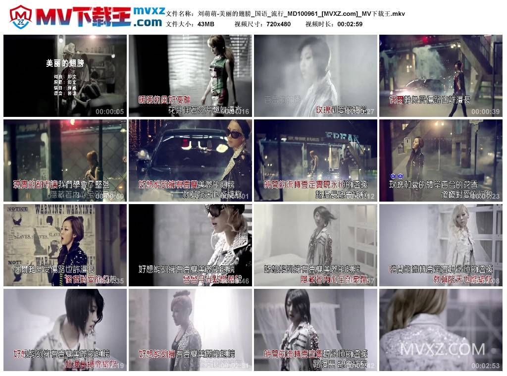 刘萌萌-美丽的翅膀_国语_流行_MD100961